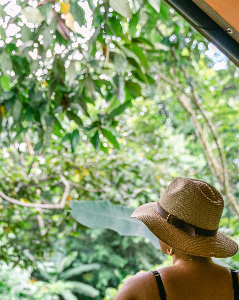 Woman wearing a sun hat and looking out towards a rainforest of green trees and plants.